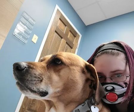 Noah's Animal Hospital & 24 HR Emergency Center