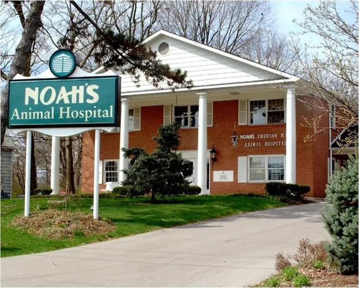 Noah's Animal Hospital & 24 HR Emergency Center Picture 6