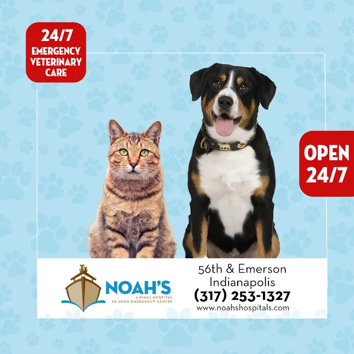 Noah's Animal Hospital & 24 HR Emergency Center Picture 4