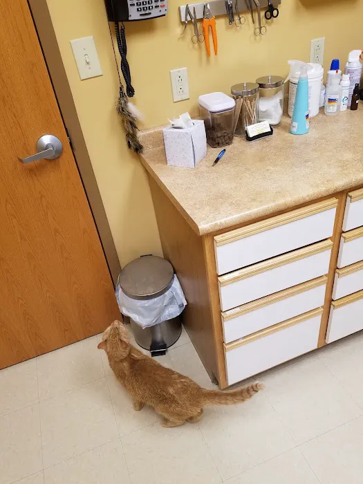 Daisy Lane Veterinary Clinic Picture 4
