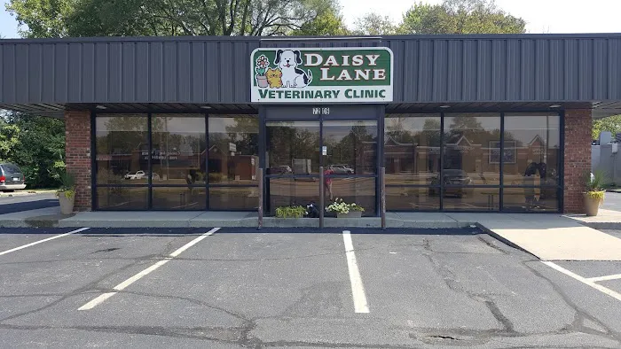 Daisy Lane Veterinary Clinic Picture 2