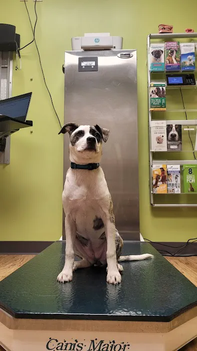 Daisy Lane Veterinary Clinic Picture 10
