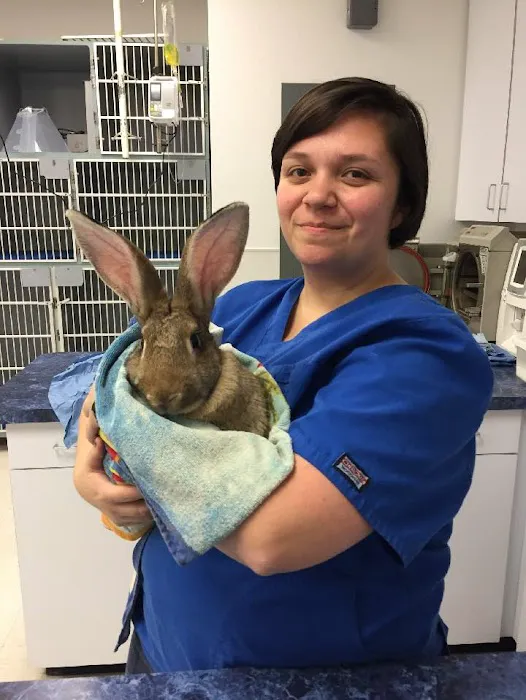 Texas Veterinary Hospitals Picture 1