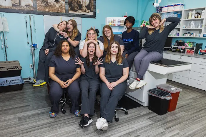 VetCheck Pet Urgent Care Center - Indianapolis Picture 7