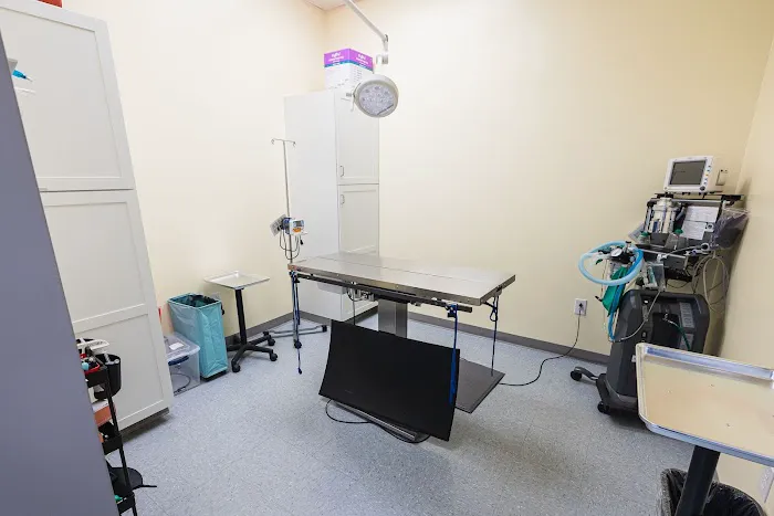 VetCheck Pet Urgent Care Center - Indianapolis Picture 2