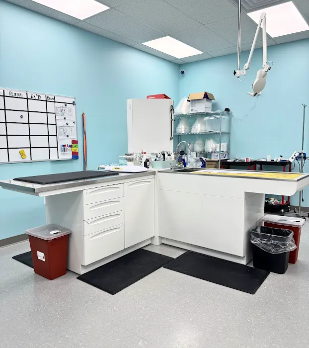 VetCheck Pet Urgent Care Center - Indianapolis Picture 10