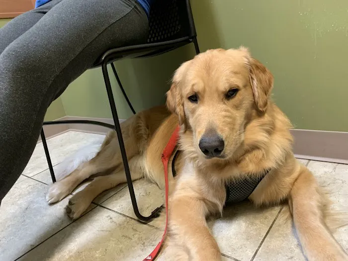 Noah's Stop 11 Animal Hospital Picture 4