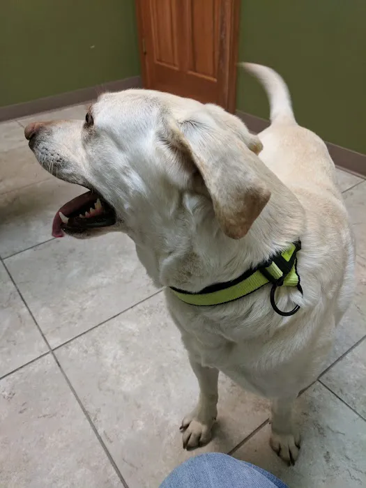 Noah's Stop 11 Animal Hospital Picture 10