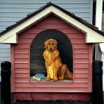 Franklin Animal Clinic at Greenwood Park