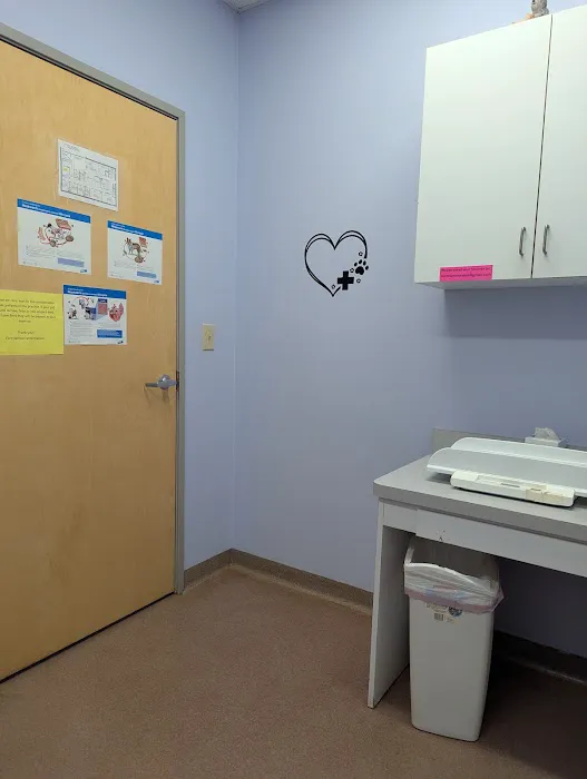 Ft. Harrison Veterinarians Picture 6