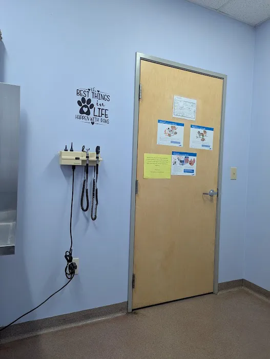 Ft. Harrison Veterinarians Picture 1