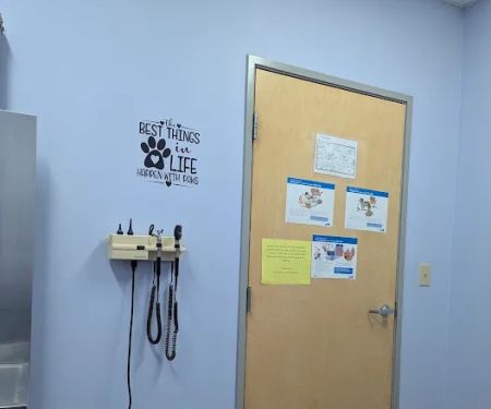 Ft. Harrison Veterinarians