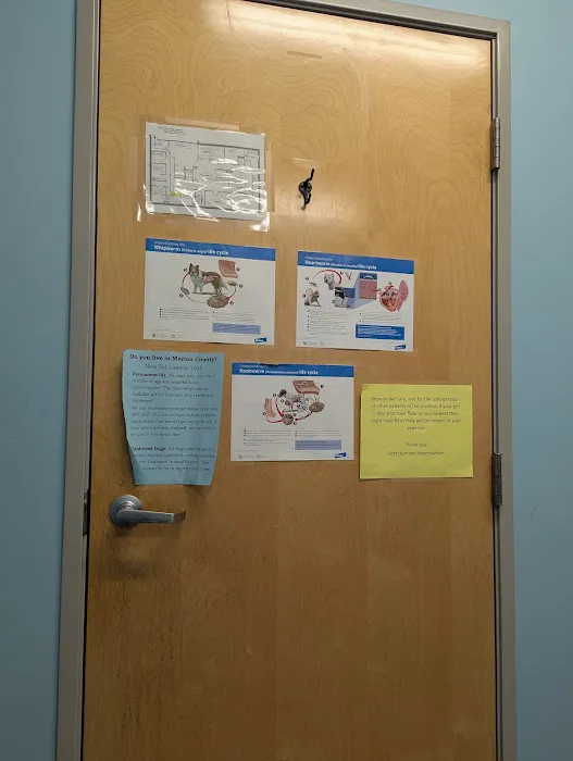 Ft. Harrison Veterinarians Picture 8