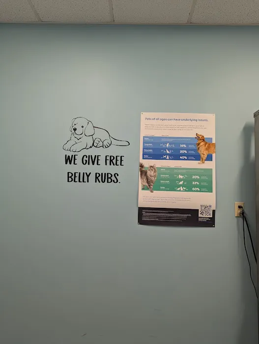 Ft. Harrison Veterinarians Picture 7