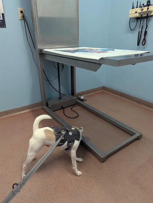 Ft. Harrison Veterinarians Picture 9