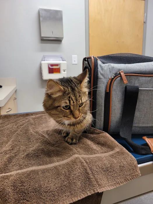 Binford Pet Wellness Clinic Picture 3