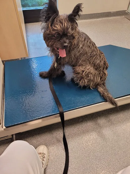 Binford Pet Wellness Clinic Picture 7
