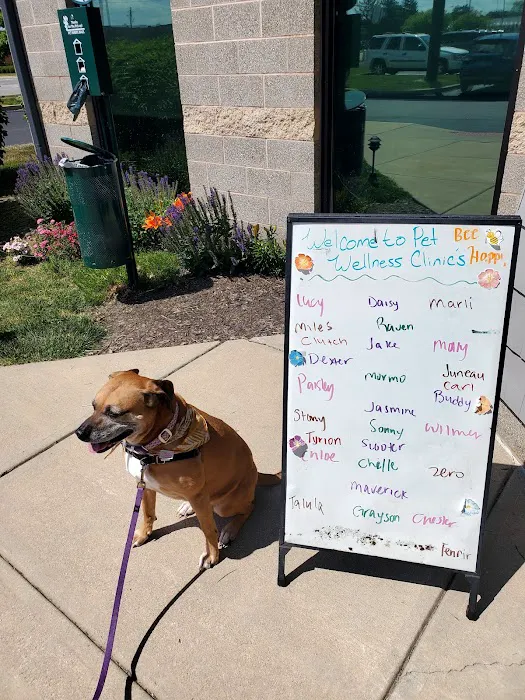 Binford Pet Wellness Clinic Picture 9