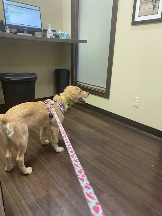 Franklin Falls Animal Clinic Picture 9