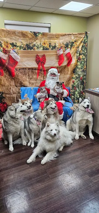 Franklin Falls Animal Clinic Picture 8