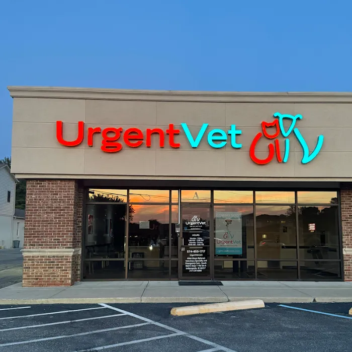 UrgentVet Picture 2
