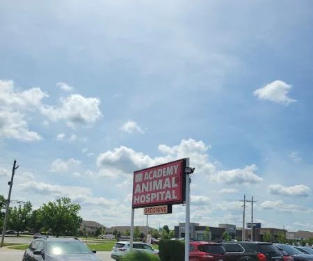 Academy Animal Hospital
