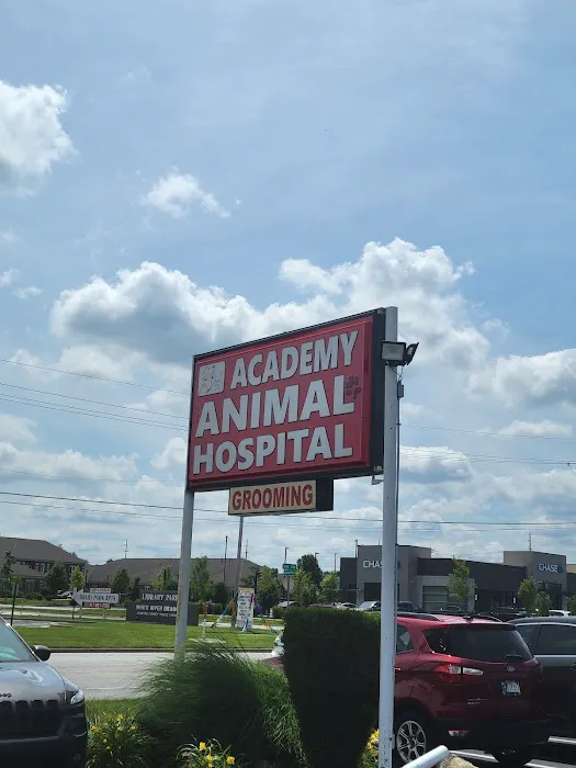 Academy Animal Hospital Picture 3
