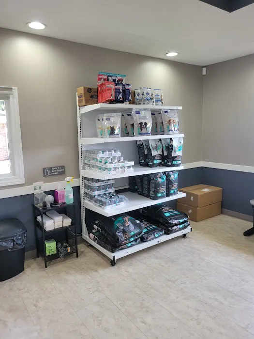 Academy Animal Hospital Picture 5