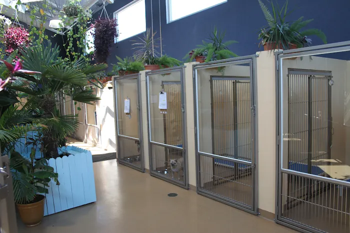 Angel Animal Hospital Picture 10