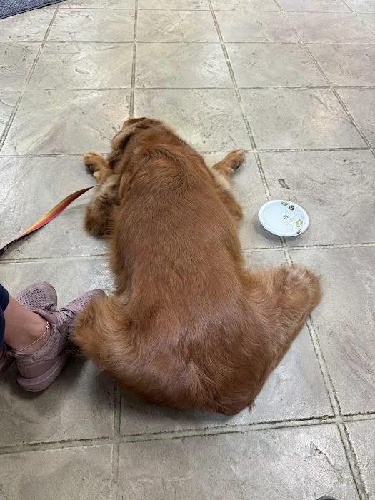 Sugar Grove Animal Hospital: Beisinger Richard DVM Picture 1