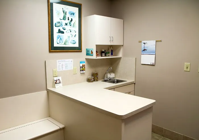 VCA Sugar Grove Animal Hospital Picture 2