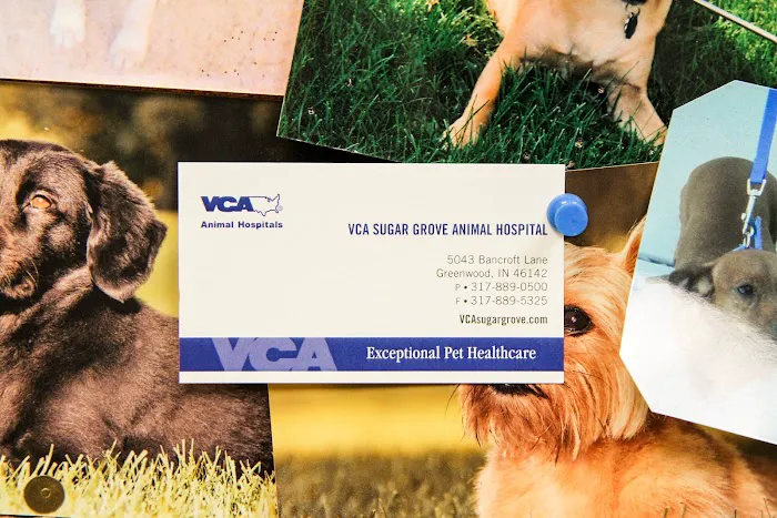 VCA Sugar Grove Animal Hospital Picture 5
