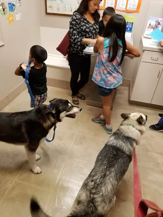 VCA Sugar Grove Animal Hospital Picture 4