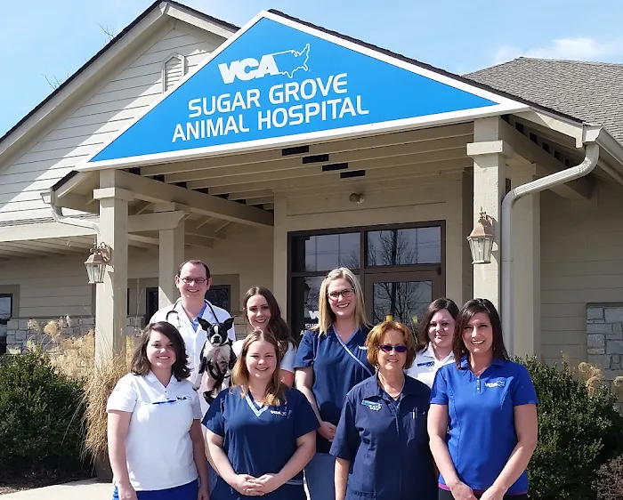 VCA Sugar Grove Animal Hospital Picture 10