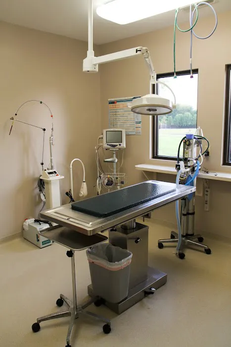 VCA Sugar Grove Animal Hospital Picture 7