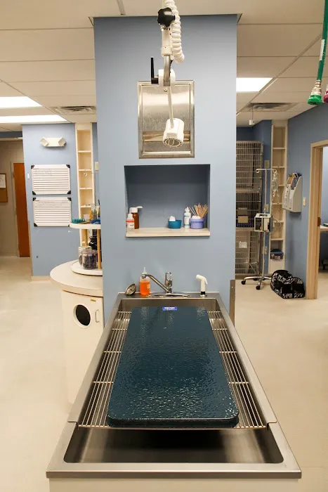 VCA Sugar Grove Animal Hospital Picture 8