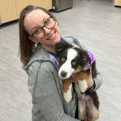 Avon Pet Wellness Clinic Picture 4