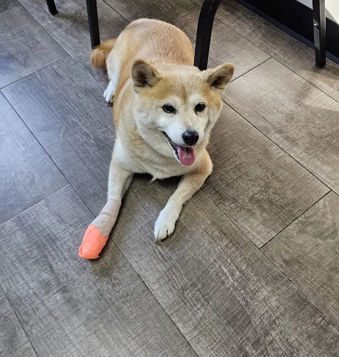 Decatur Veterinary Clinic Picture 4
