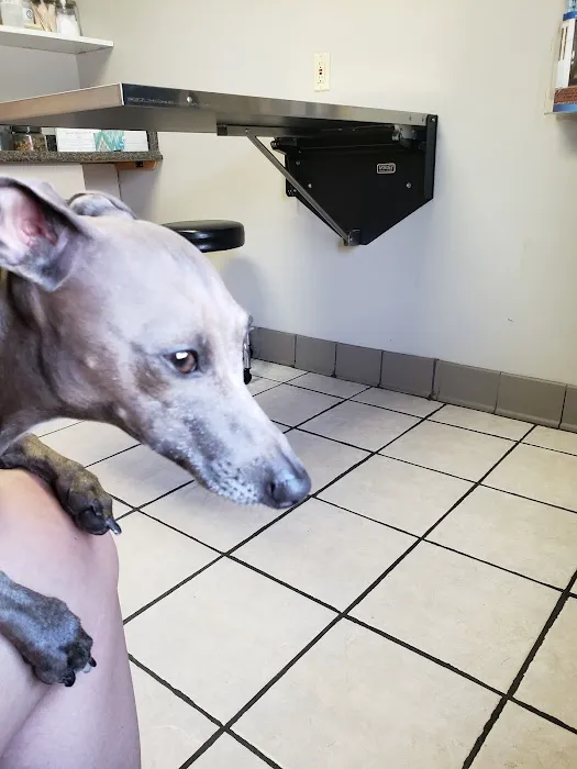 Decatur Veterinary Clinic Picture 10