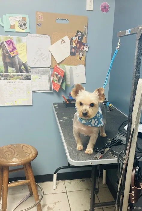 Decatur Veterinary Clinic Picture 8