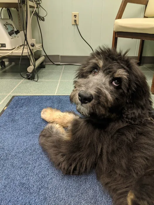 Augusta Animal Clinic Picture 6