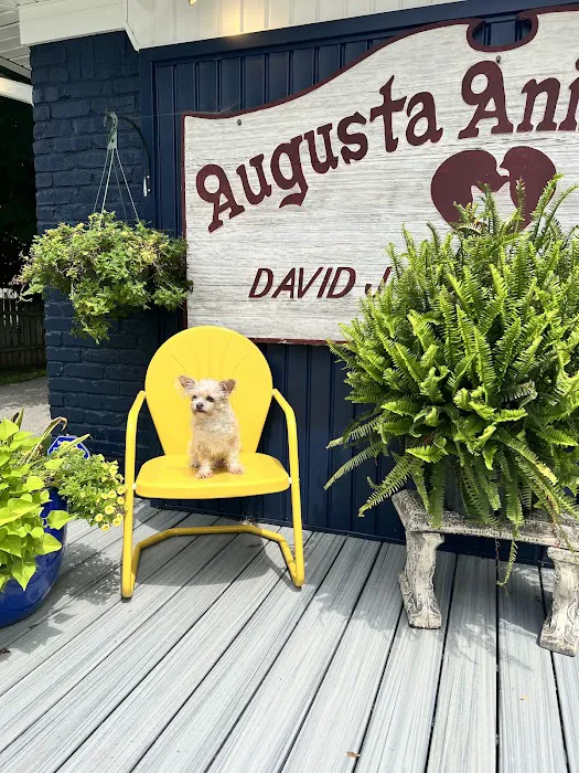 Augusta Animal Clinic Picture 3
