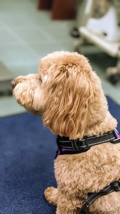 Augusta Animal Clinic Picture 7