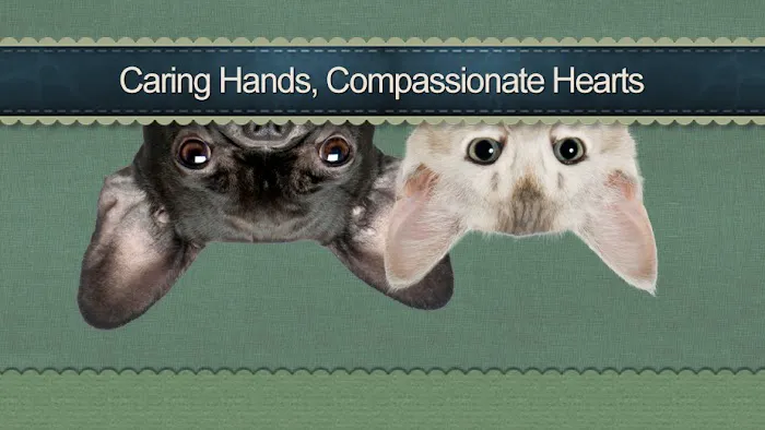 Augusta Animal Clinic Picture 8