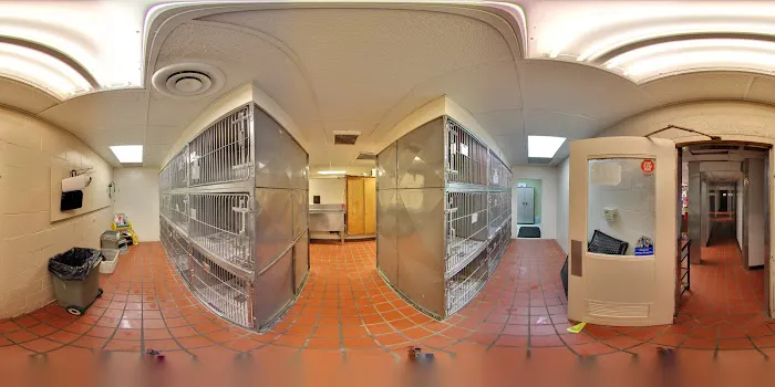 Michigan Road Animal Hospital at Crooked Creek Picture 1
