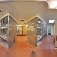 Michigan Road Animal Hospital at Crooked Creek ico