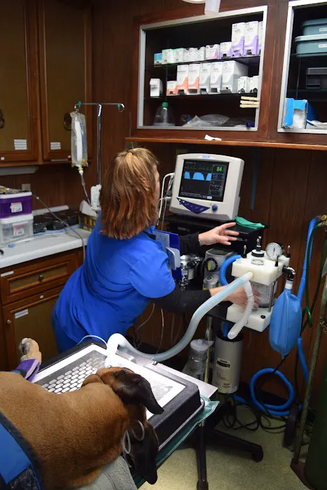 Brownsburg Animal Clinic Picture 4