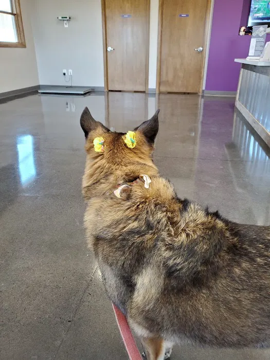 Brownsburg Animal Clinic Picture 10