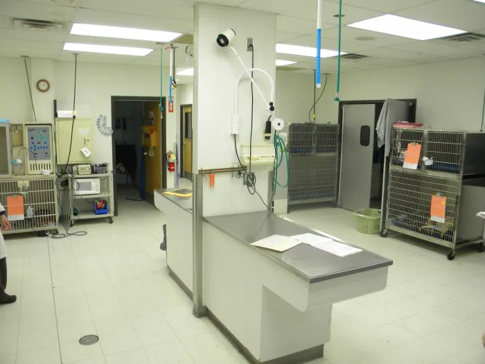 VCA West 86th St. Animal Hospital Picture 6