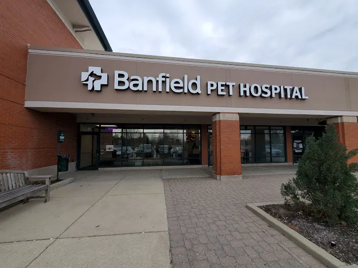 Banfield Pet Hospital Picture 5